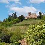 Sylvaner Sur La Route Des Vins Apartment *