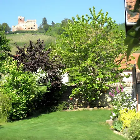 Apartment Sylvaner Sur La Route Des Vins *