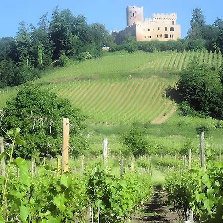 Sylvaner Sur La Route Des Vins *
