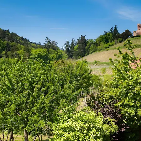 Sylvaner Sur La Route Des Vins Kintzheim