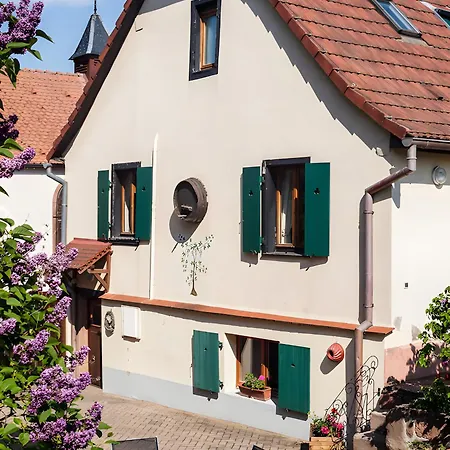 Apartman Sylvaner Sur La Route Des Vins