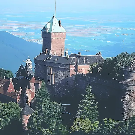 Sylvaner Sur La Route Des Vins