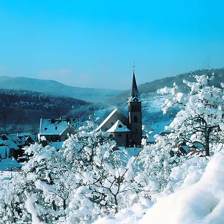 Apartman Sylvaner Sur La Route Des Vins Kintzheim