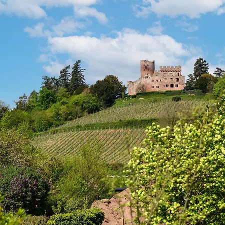 Sylvaner Sur La Route Des Vins アパート *