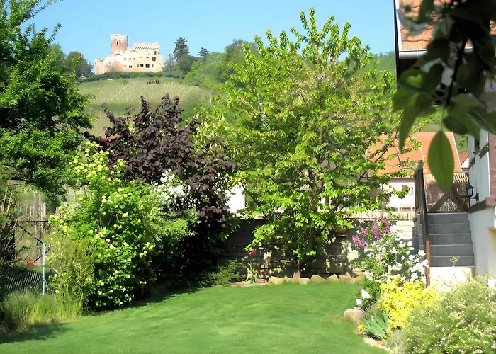 Apartman Sylvaner Sur La Route Des Vins *