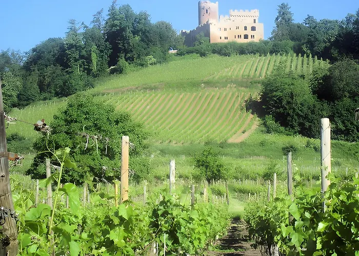 Sylvaner Sur La Route Des Vins *