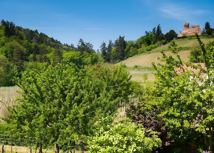 Sylvaner Sur La Route Des Vins Kintzheim