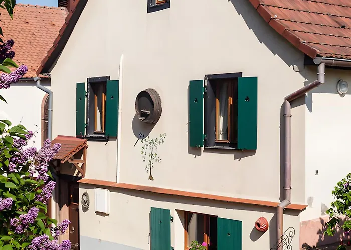 Apartment Sylvaner Sur La Route Des Vins