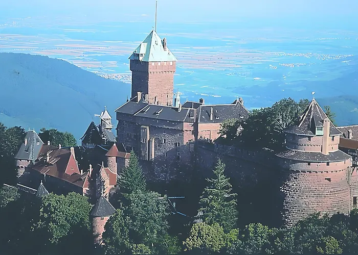 Sylvaner Sur La Route Des Vins