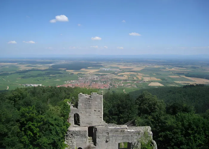 Apartman Sylvaner Sur La Route Des Vins Kintzheim