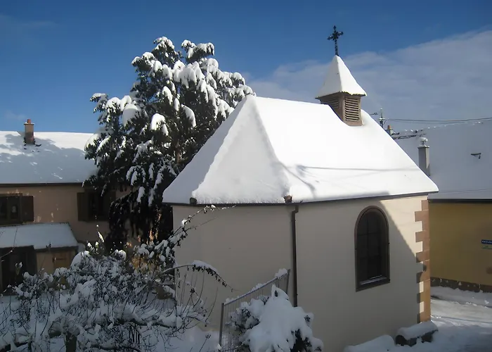 Sylvaner Sur La Route Des Vins Apartman